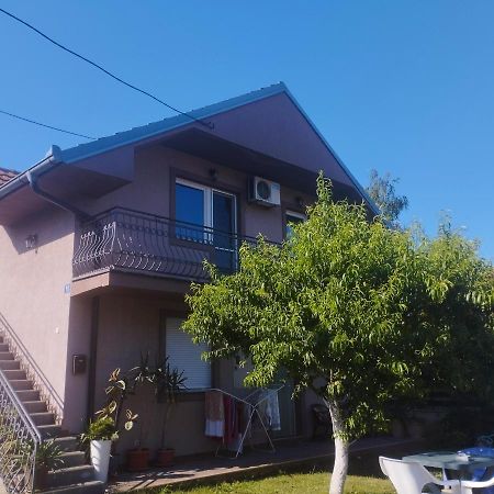 Apartment Andjela ベオグラード エクステリア 写真