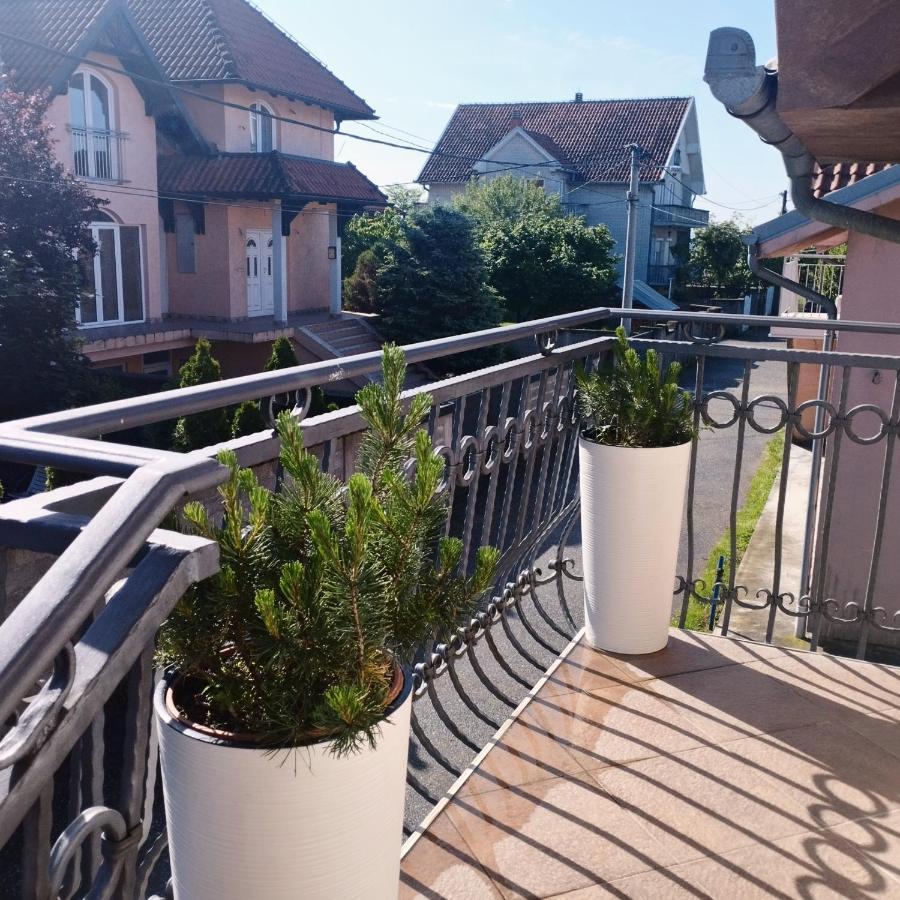 Apartment Andjela ベオグラード エクステリア 写真