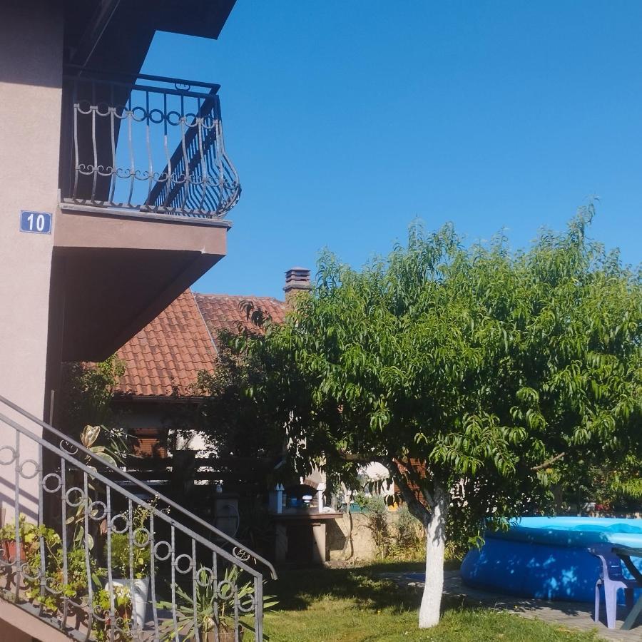 Apartment Andjela ベオグラード エクステリア 写真